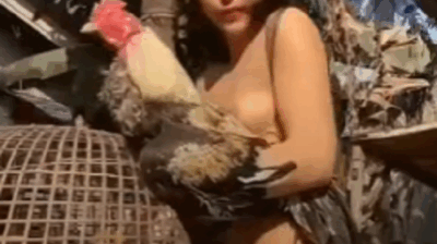 ที่มาของคำว่า อยากล้างหน้าไก่ตอนเช้า คลิปxเด็ดๆ